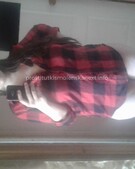 Анкета проститутки Мирослава - метро Таганский, возраст - 24